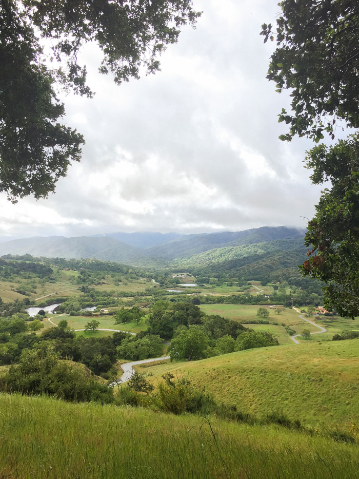 A green valley framed by trees, with hills and mountains beyond